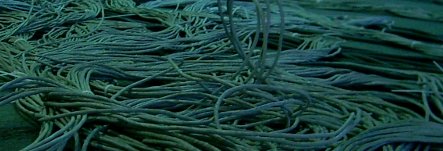 cables