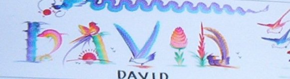 david